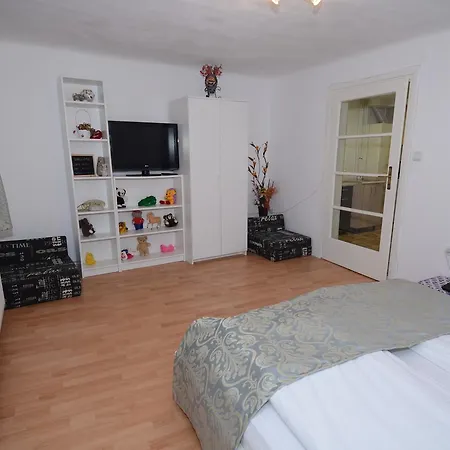 Apartment Barbeque House Brasov