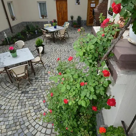 Apartment Barbeque House Brasov