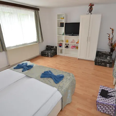 Apartment Barbeque House Brasov