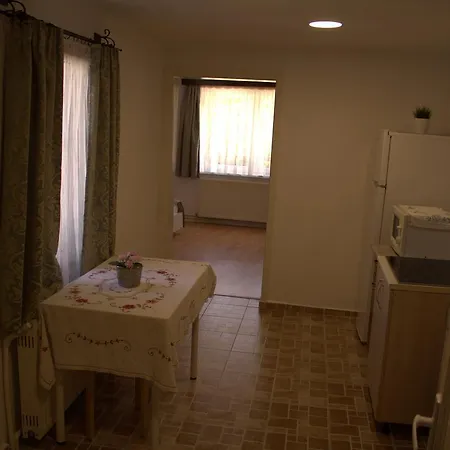 Apartment Barbeque House Brasov