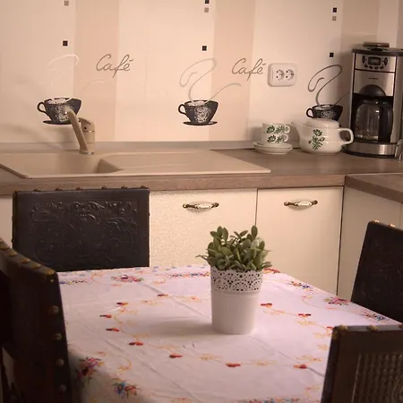 Barbeque House Apartment Brasov