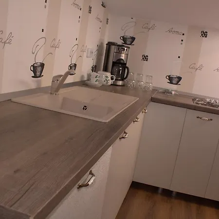 Apartment Barbeque House Brasov